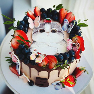 Торт "Котенок" купить - тамбов.сладкоежкин.рф